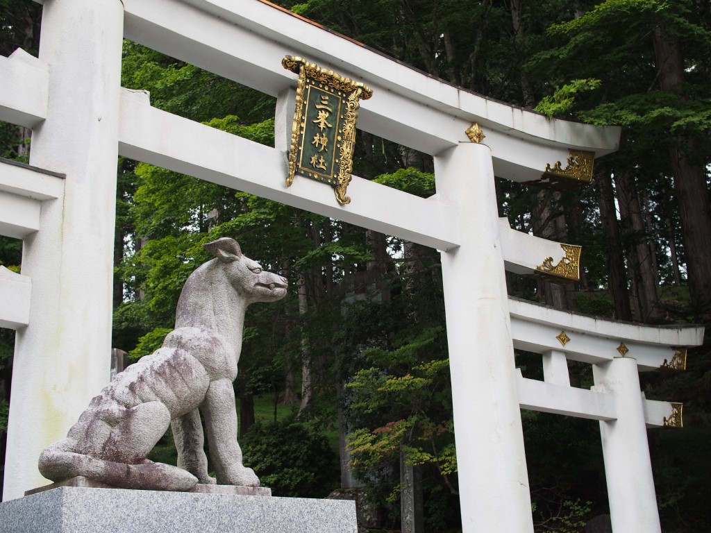 オオカミ 三峯神社